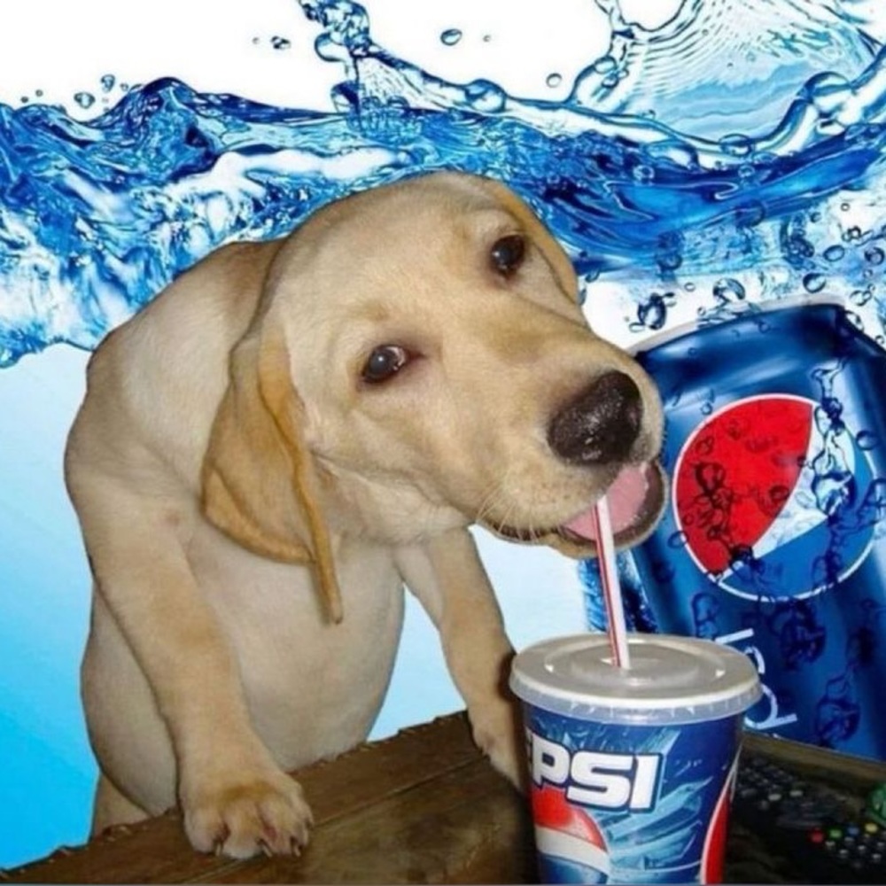 Meet your Posher, Dd